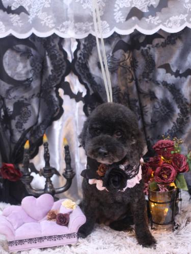 20231020クロちゃん